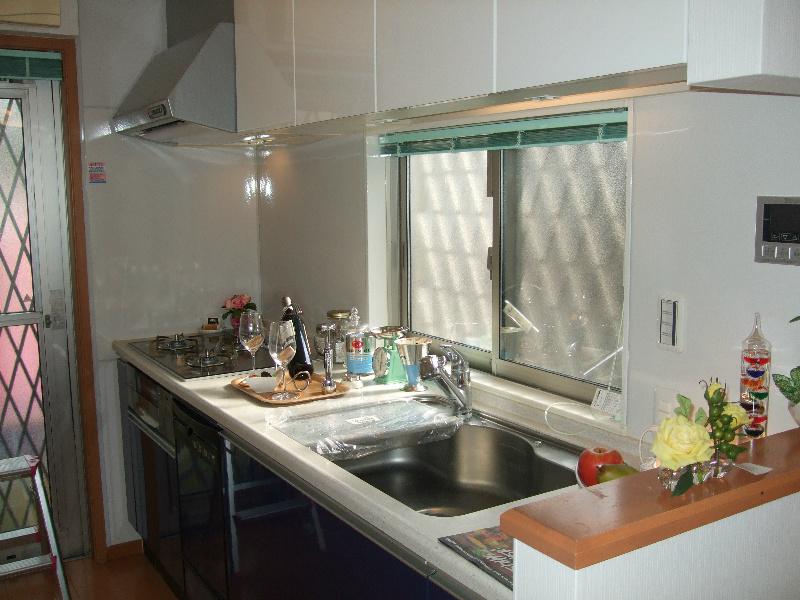 Kitchen. This is a system kitchen with a dishwasher. 