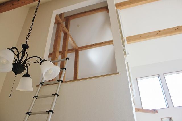 Other introspection. loft