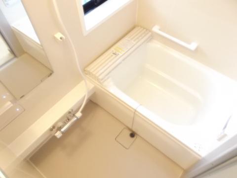 Bathroom. Unit bus new goods exchange settled.