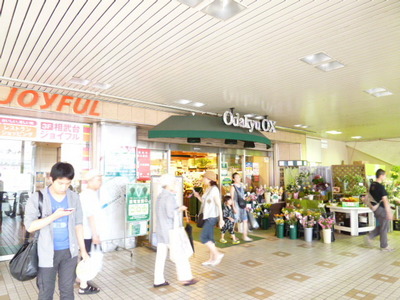Supermarket. OdakyuOX Sobudai store up to (super) 635m