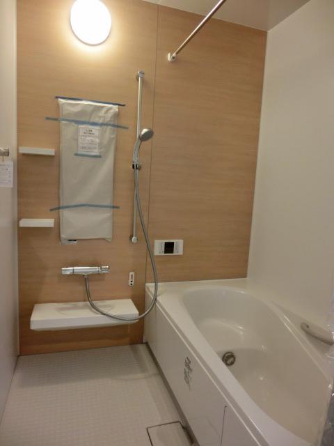 Bathroom. Indoor (12 May 2013) Shooting