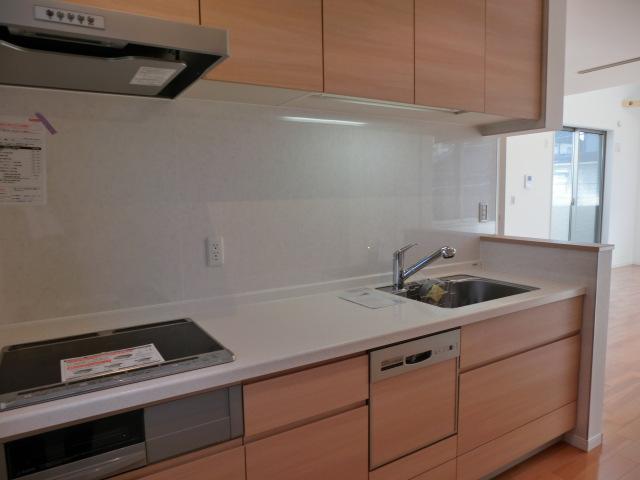 Kitchen. Indoor (12 May 2013) Shooting