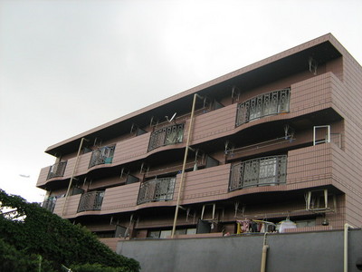 Building appearance. Appearance 2