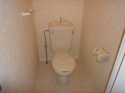 Toilet. Toilet