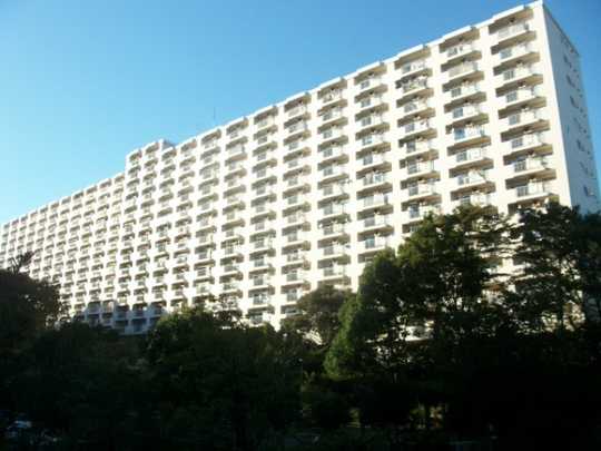 Local appearance photo. Appearance 1