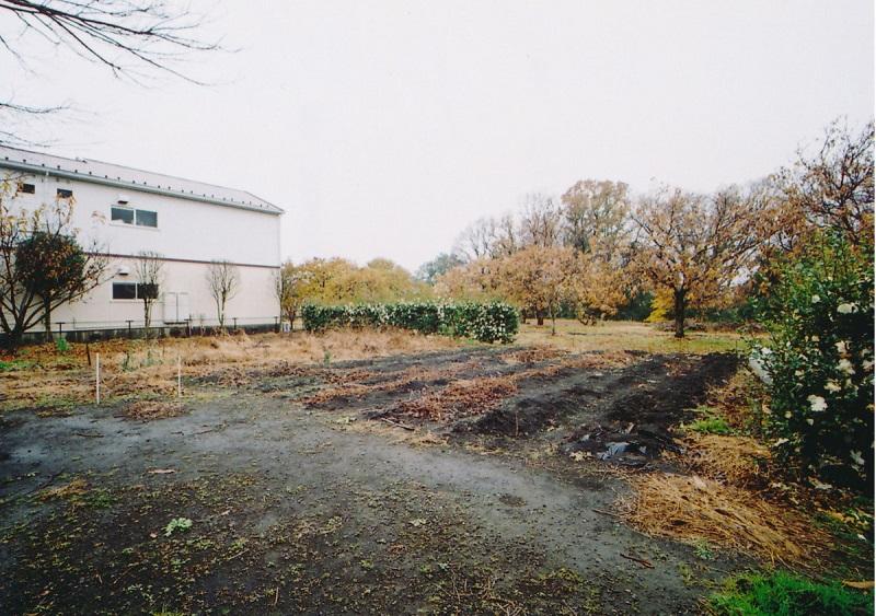 Local land photo. 116 square meters Just a few still