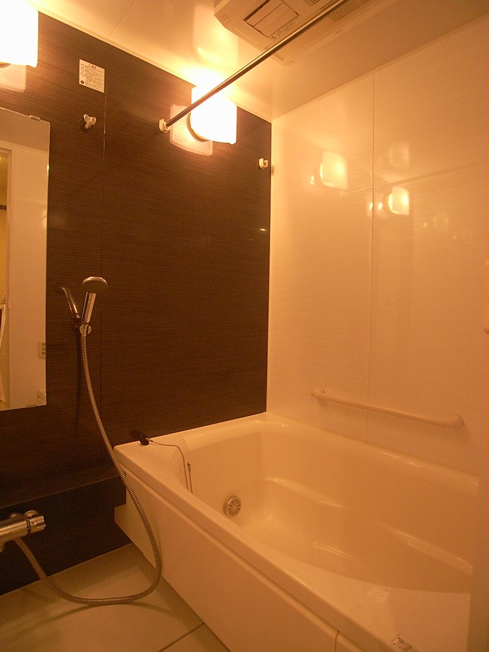 Bathroom. Indoor (10 May 2013) Shooting