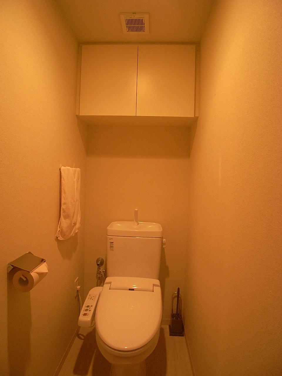 Toilet. Indoor (10 May 2013) Shooting