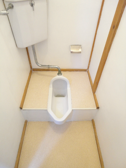Toilet. Toilet of Japanese style