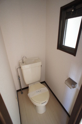 Toilet. It is installed a small window in the toilet, Bright and clean