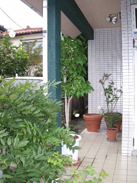 Entrance. Entrance porch