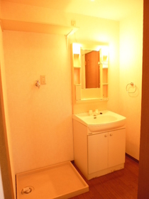 Washroom. Independent wash basin