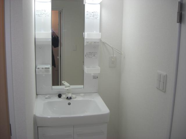 Wash basin, toilet. Vanity is a new article.