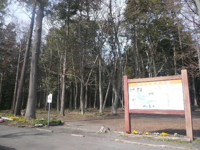 park. 77m to Serizawa park