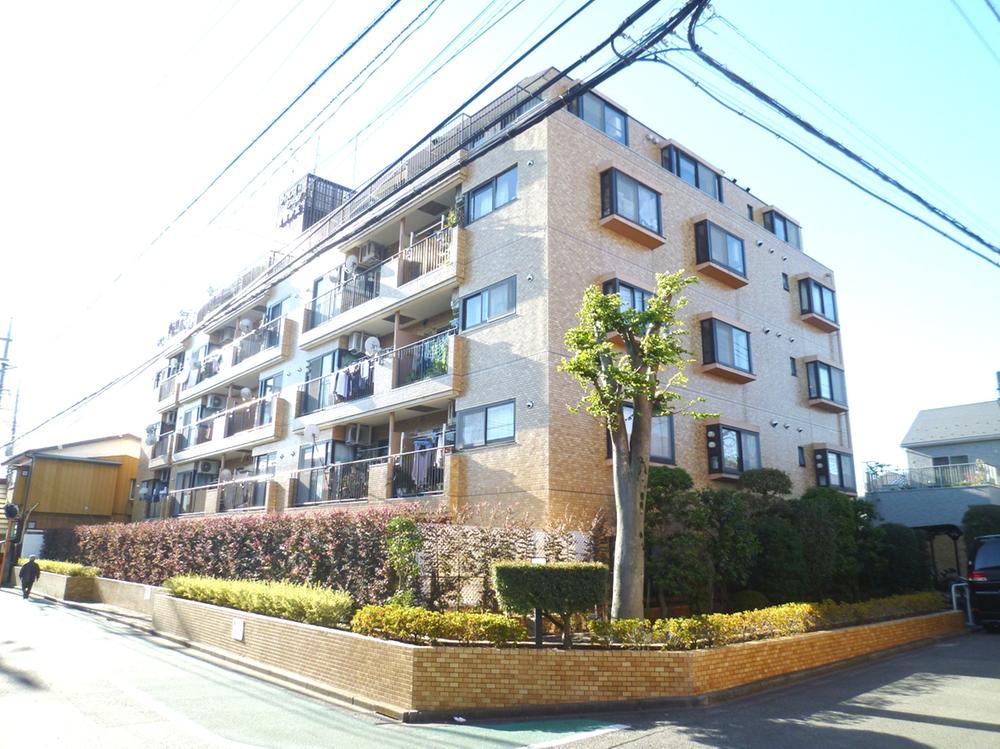 Local appearance photo. Local (11 May 2013) Shooting