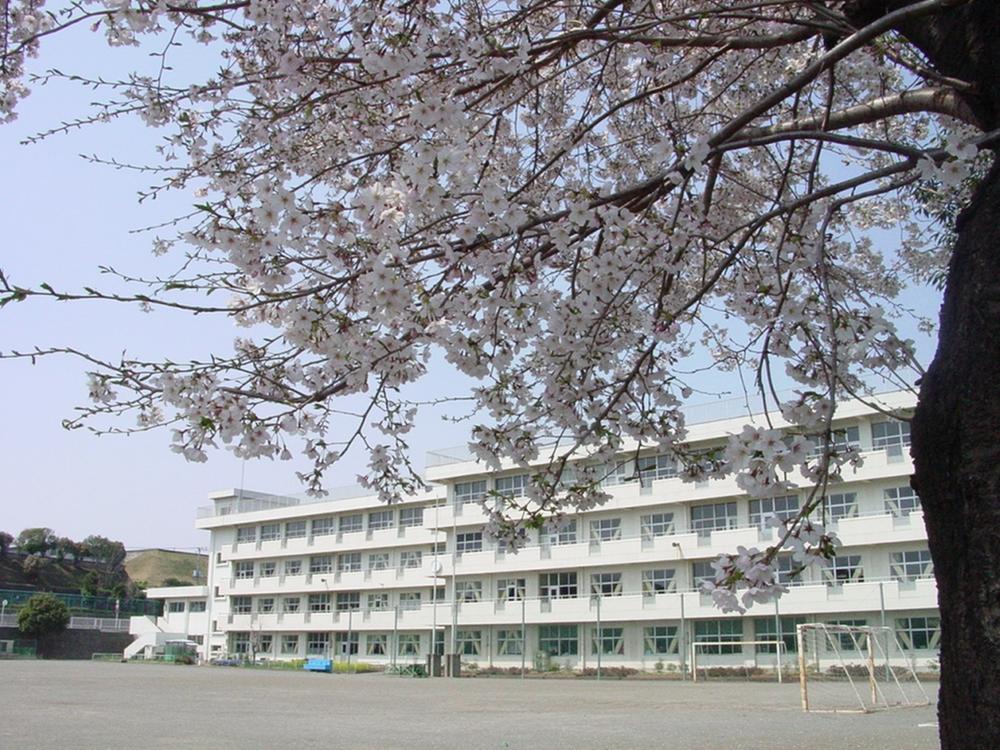 Primary school. Tatsunodai elementary school