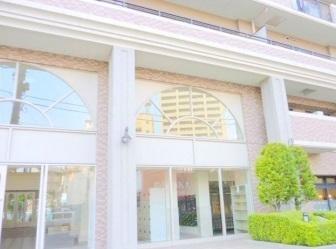 Entrance. Common areas