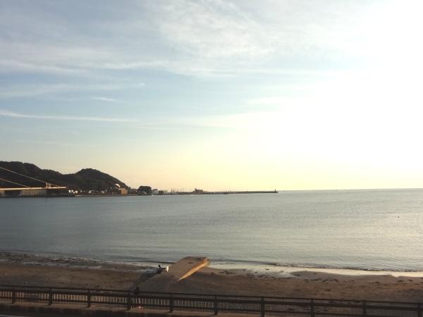 Other. Zushi coast (about 20m from local)