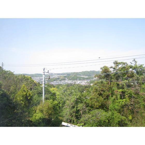 View photos from the dwelling unit. East