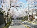 Other. It is a photograph of the famous Zushi Highland subdivision in Sakura