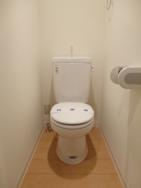 Toilet. Toilet