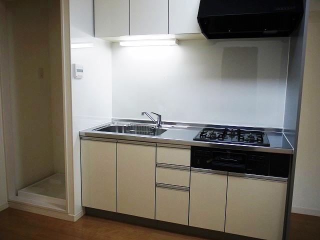 Kitchen. Indoor (07 May 2013) Shooting