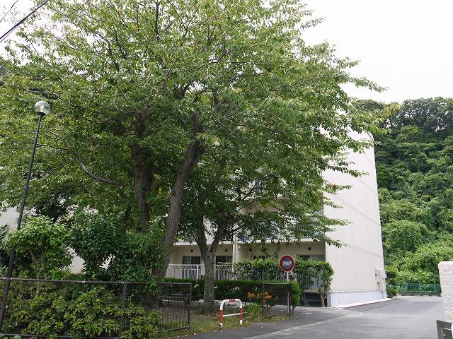 Local appearance photo. Local (07 May 2013) Shooting