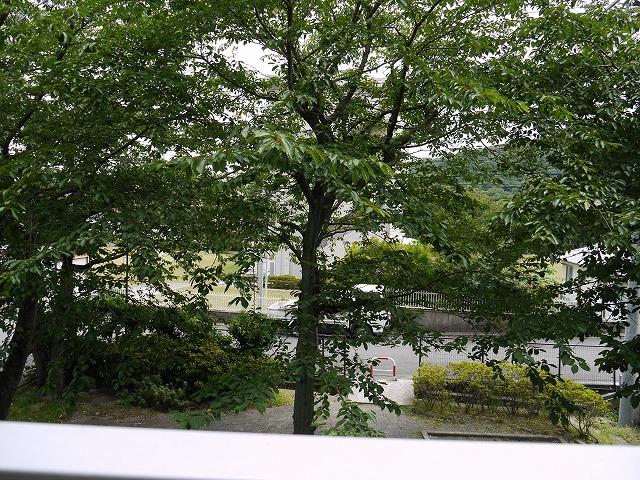 View photos from the dwelling unit. View from local (07 May 2013) Shooting