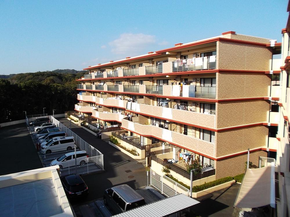 Parking lot. Common areas