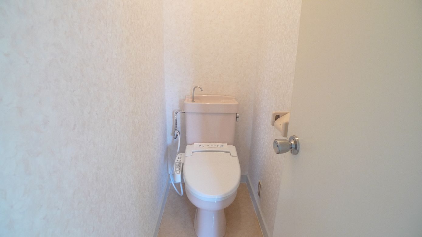 Toilet. With cleaning function