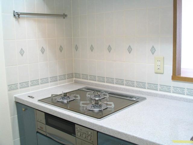 Kitchen. Indoor (08 May 2013) Shooting