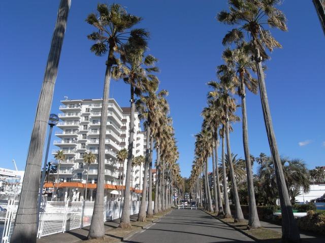 Streets around. Zushi 200m to Marina