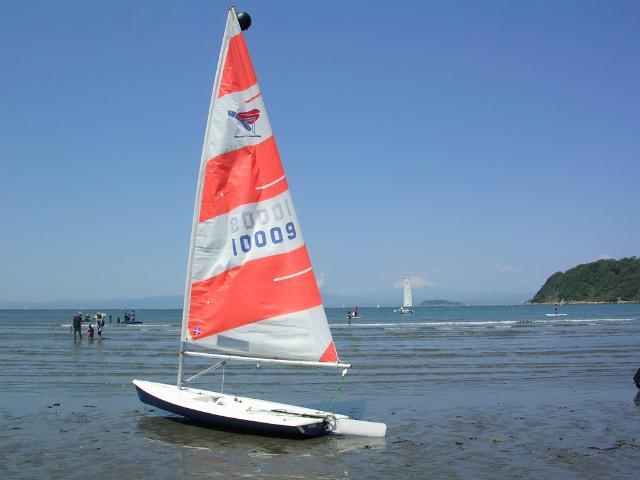 Other. Sea of Zushi is amazing!