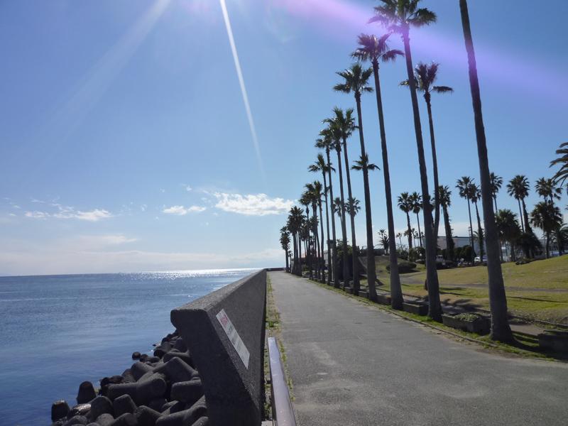 Streets around. Zushi Marina landscape