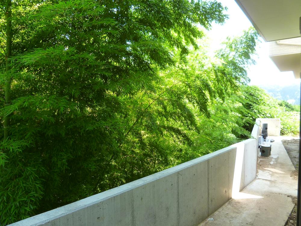 Other local. Cool bamboo forest.