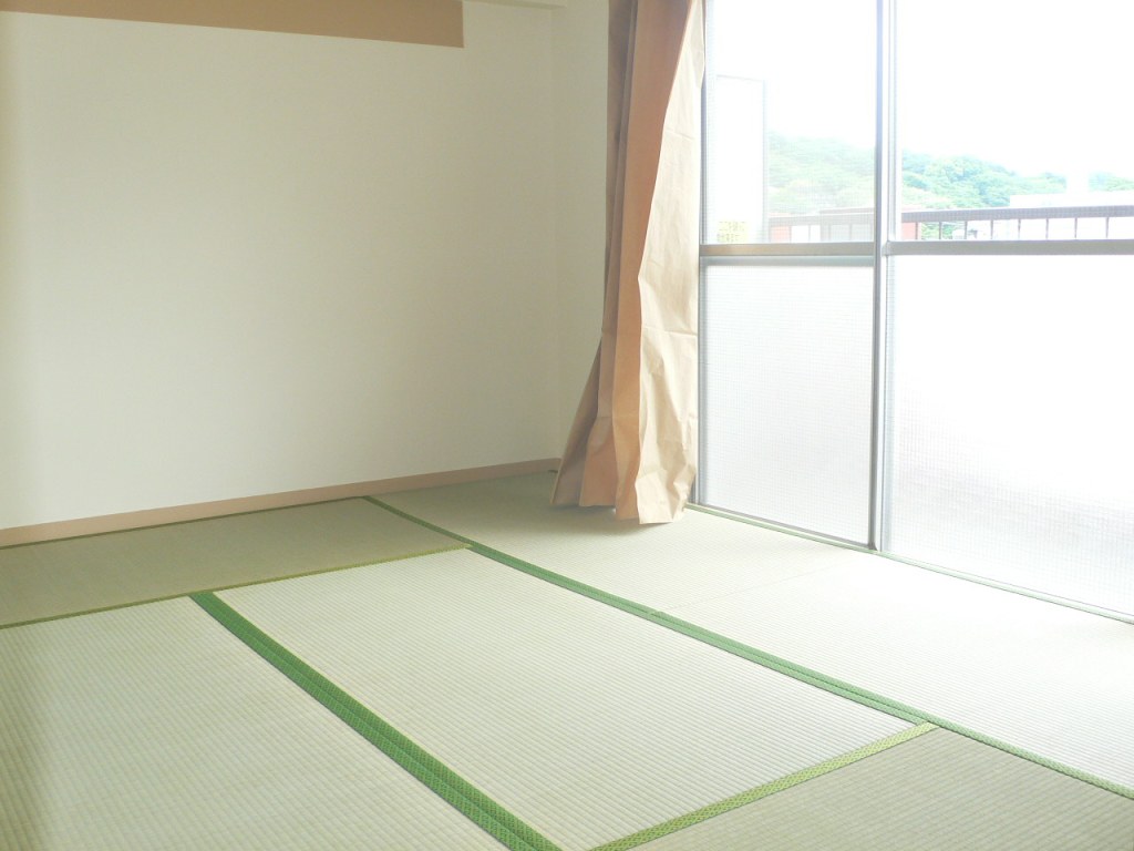 Other room space. Photo is the same type ・ It is another dwelling unit. Curtain is not attached.