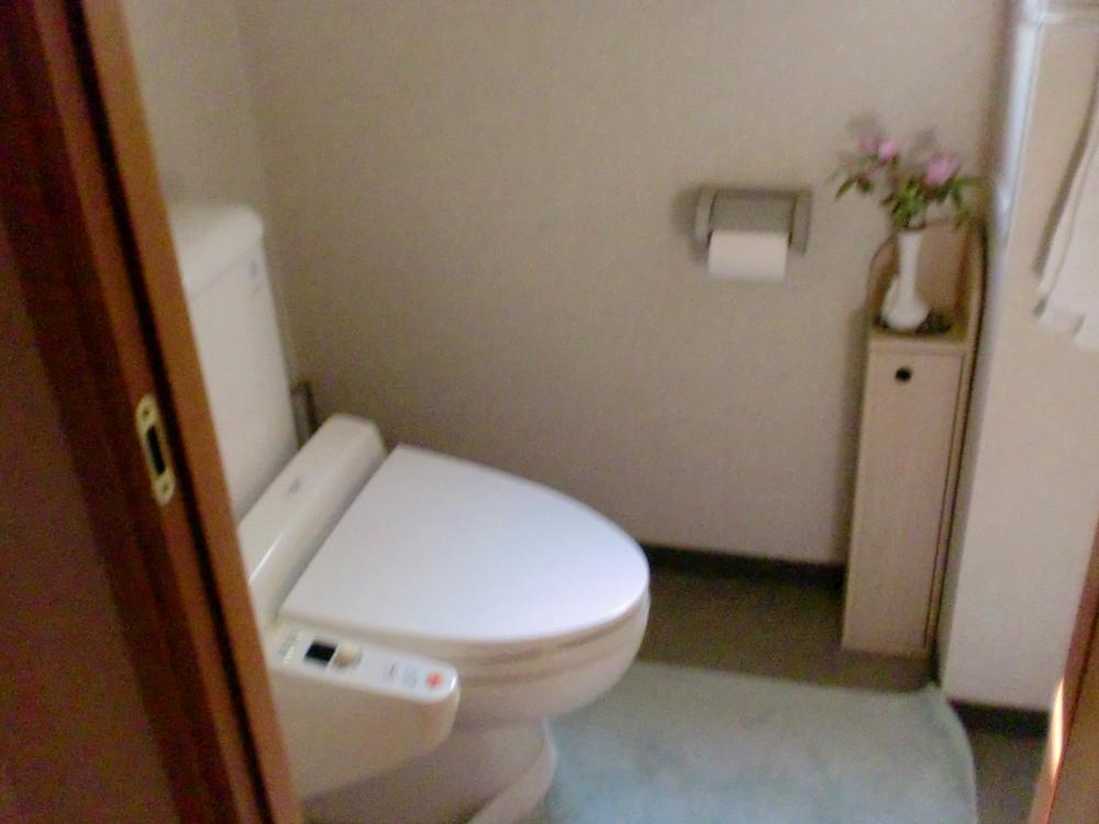 Toilet. Indoor (April 2013) Shooting