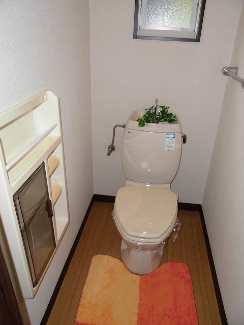 Toilet. It will be fashionable just to or put small items ☆