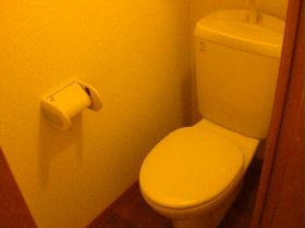 Toilet. Separate private room and bath