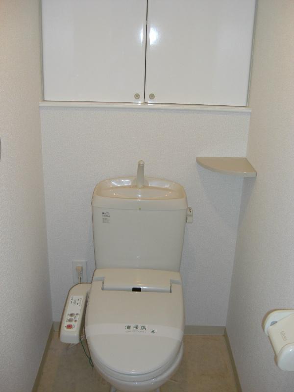 Toilet. The toilet comes with a hanging cupboard.