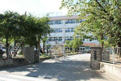 Other. Hitotsubashi is a junior high school! . 