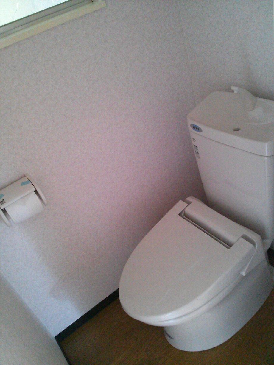 Toilet. Toilet new replacement already