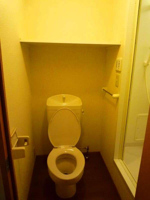 Toilet. Separate private room and bath