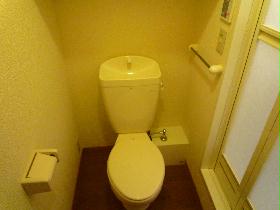 Toilet. Individual space and bath