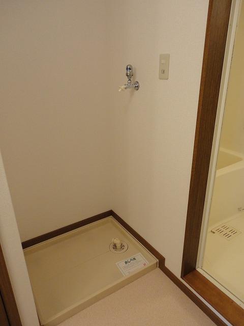 Washroom. Indoor Laundry Storage ☆