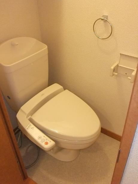 Toilet. Your toilet with a bidet function ☆