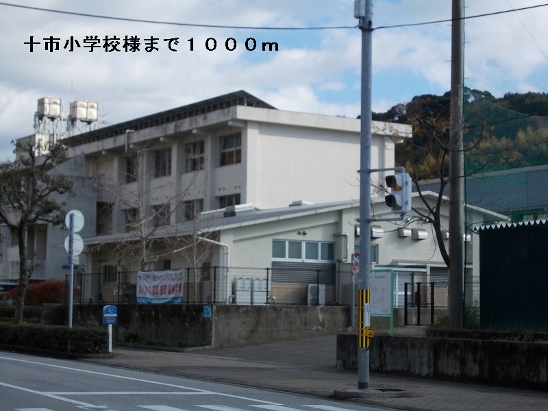 Primary school. Ten City 1000m up to elementary school (elementary school)