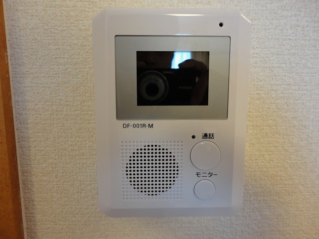 Other Equipment. It is the intercom with a tv monitor.