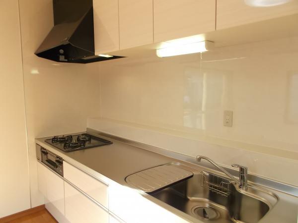 Kitchen. New kitchen is also glowing shiny panel. 