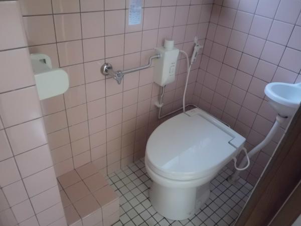 Toilet. Already exchange to store toilet new hot water cleaning toilet. 